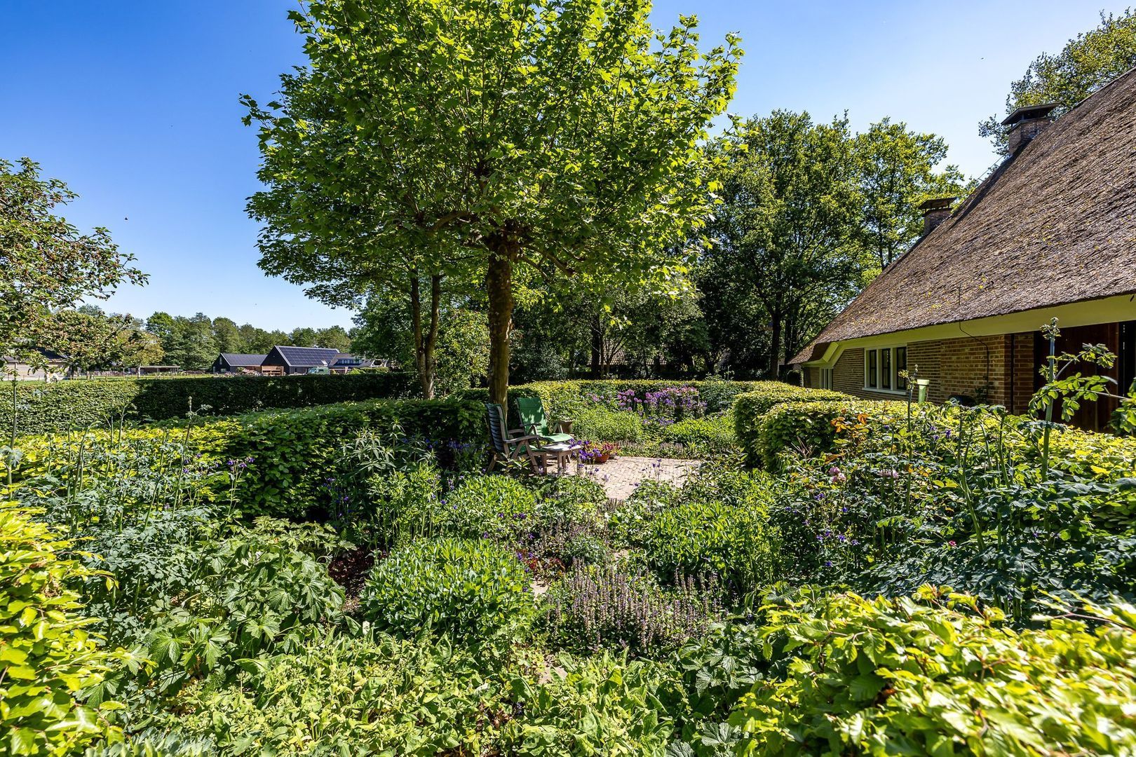 Dorpsweg 6, Taarlo foto-37