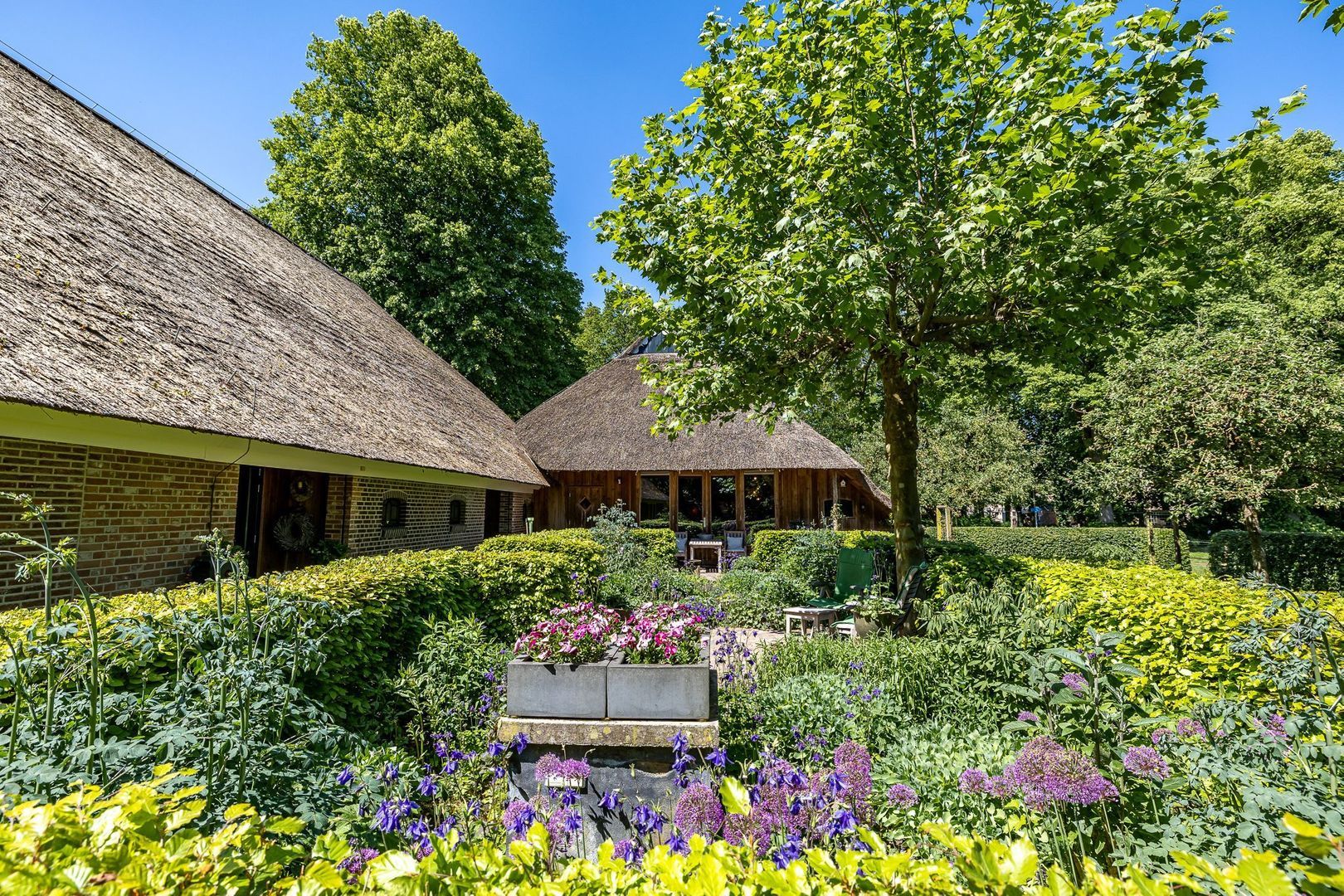 Dorpsweg 6, Taarlo foto-36