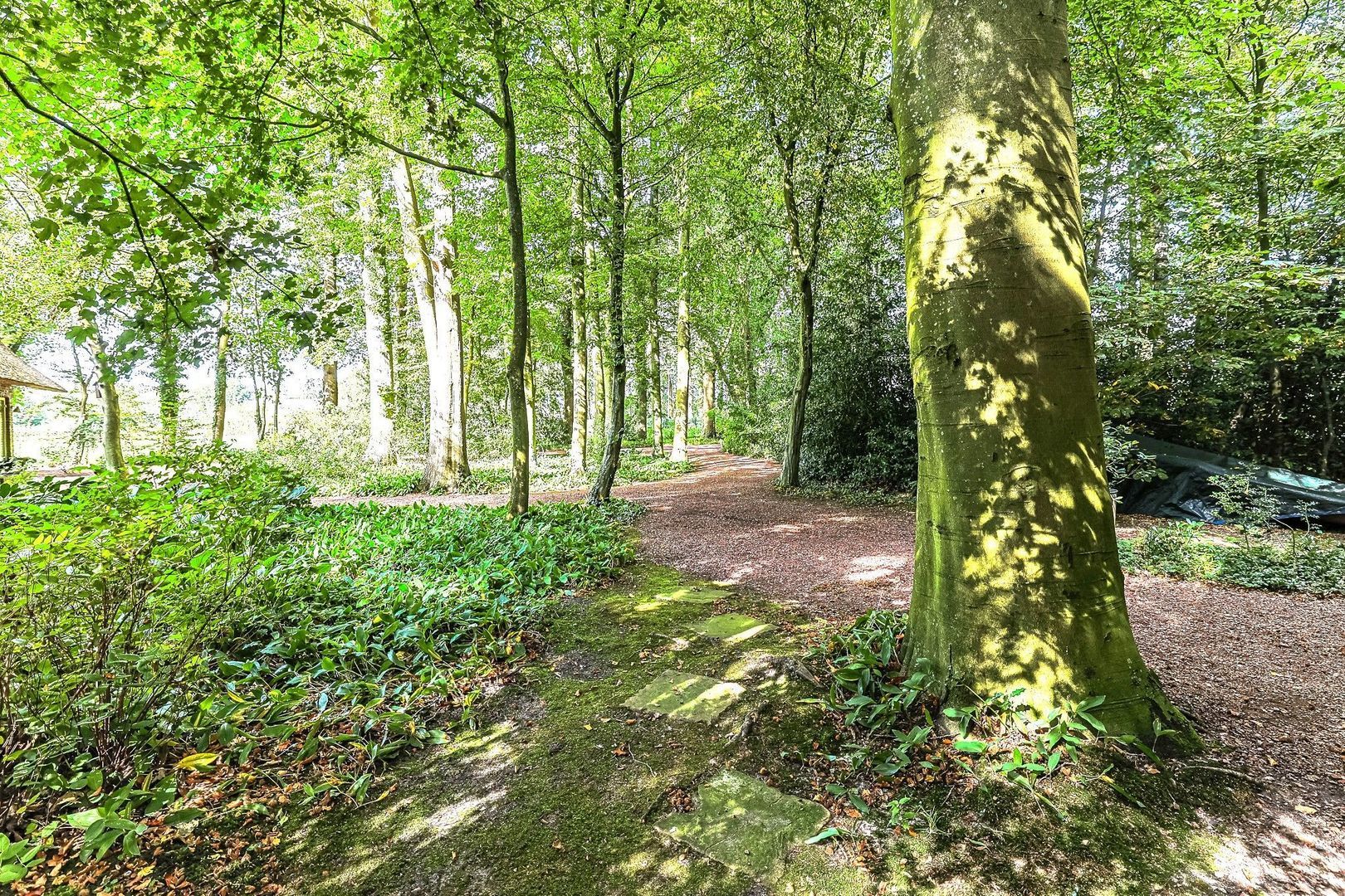 Lutsborgsweg 71, Haren GN foto-59