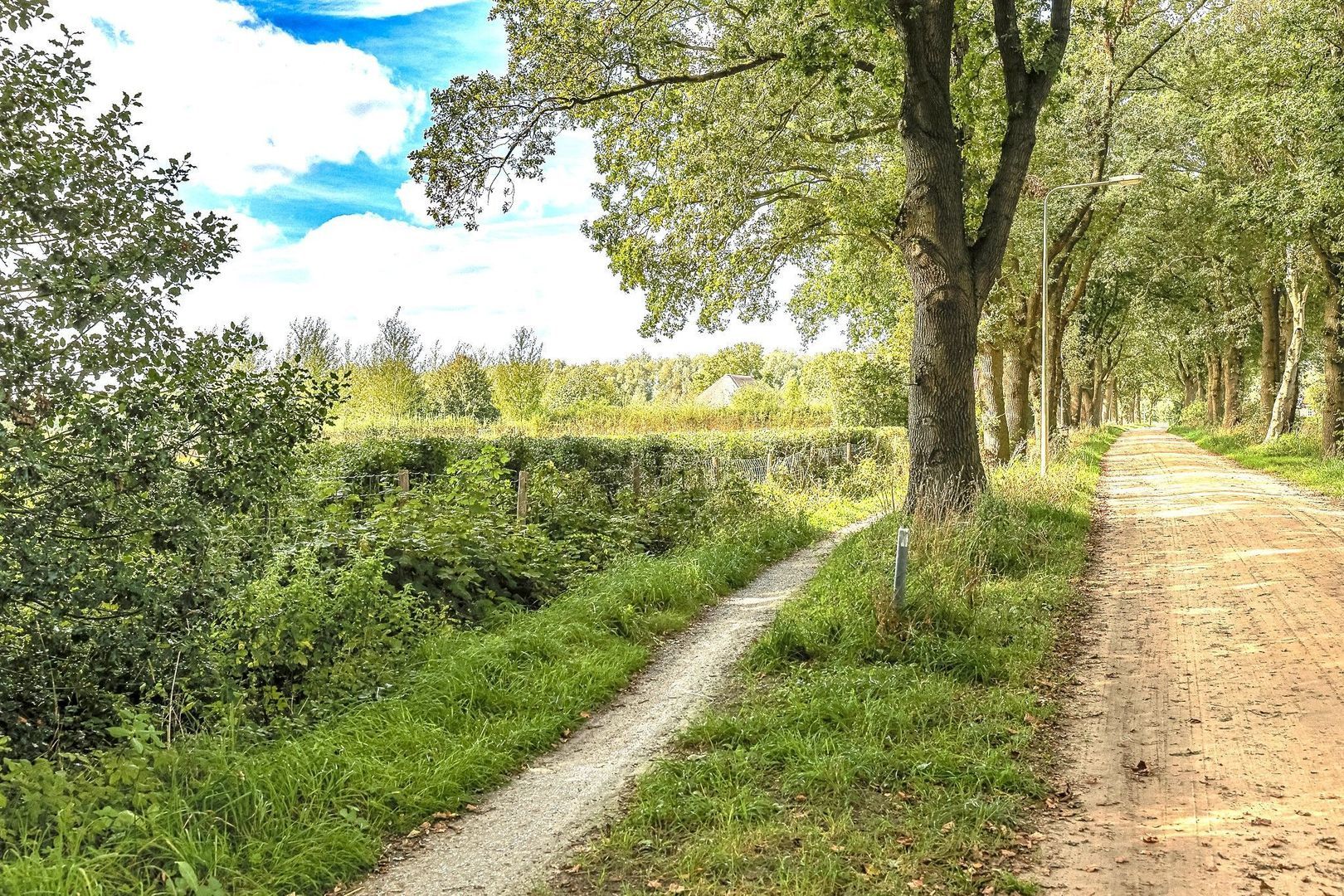 Lutsborgsweg 71, Haren GN foto-61