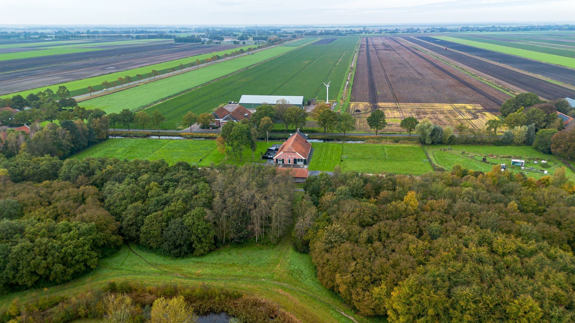 Borgercompagnie 245, Borgercompagnie foto-4