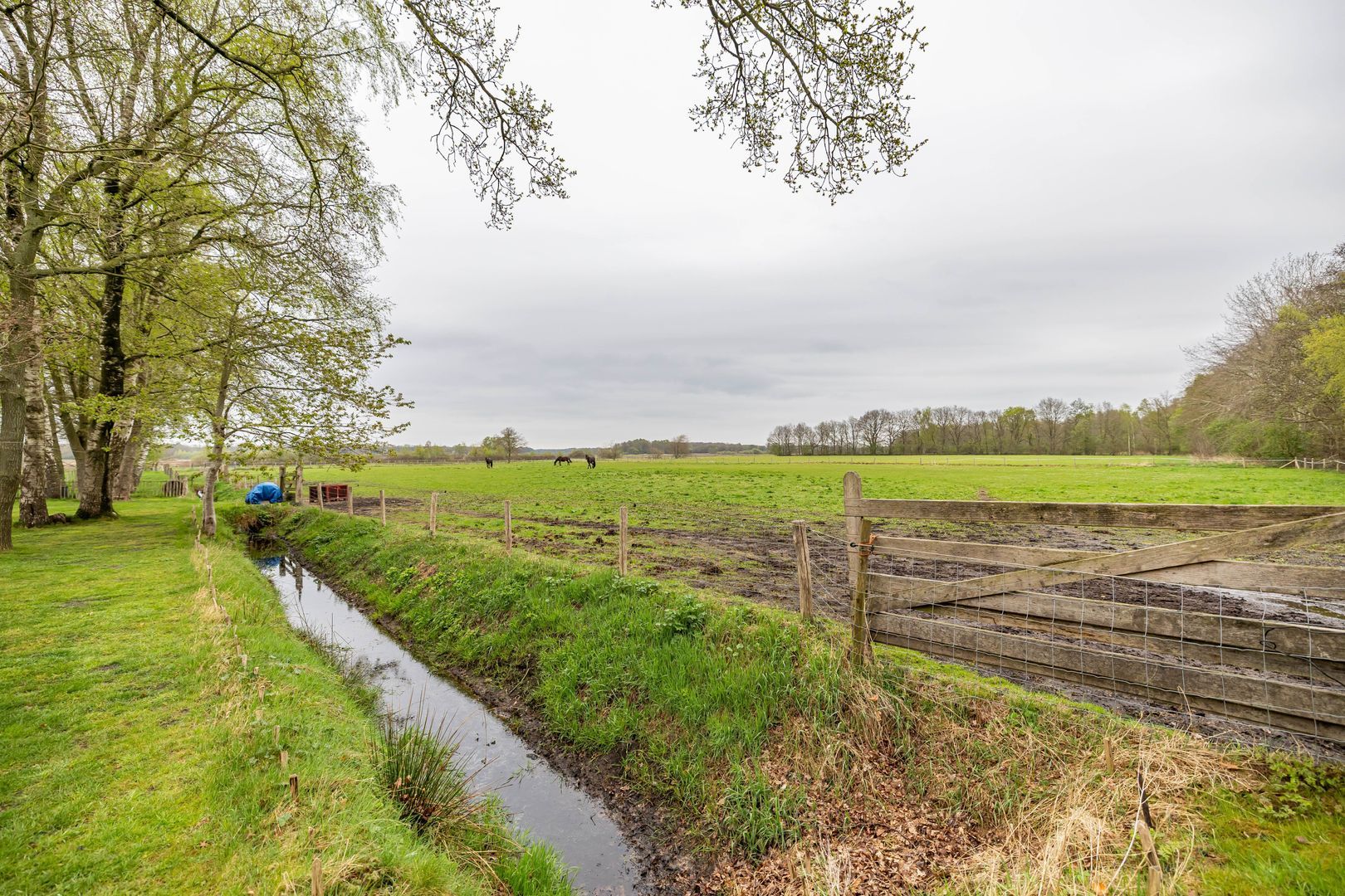 Hoofdweg 48, Langelo foto-68