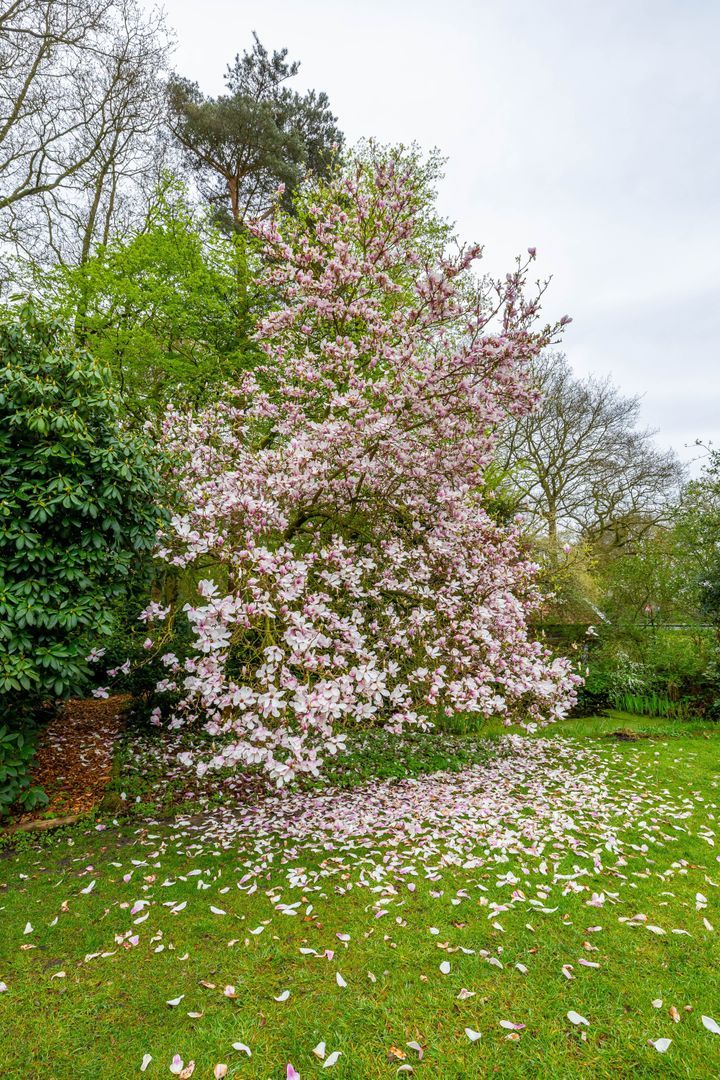 Hoofdweg 48, Langelo foto-67