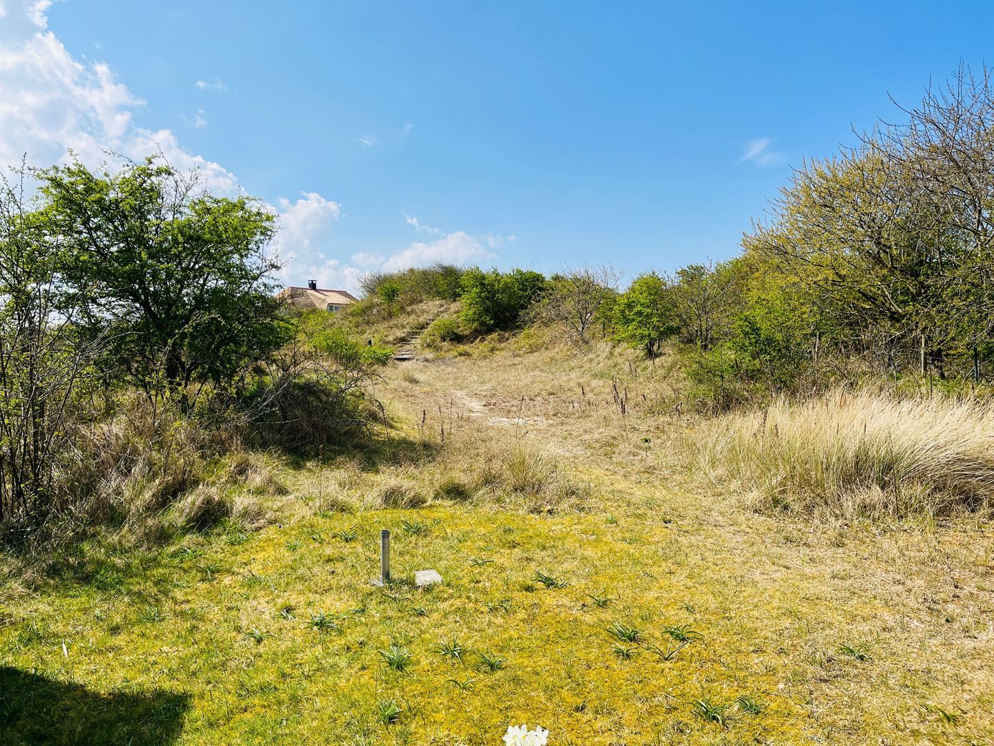 Badweg 111, Schiermonnikoog foto-19