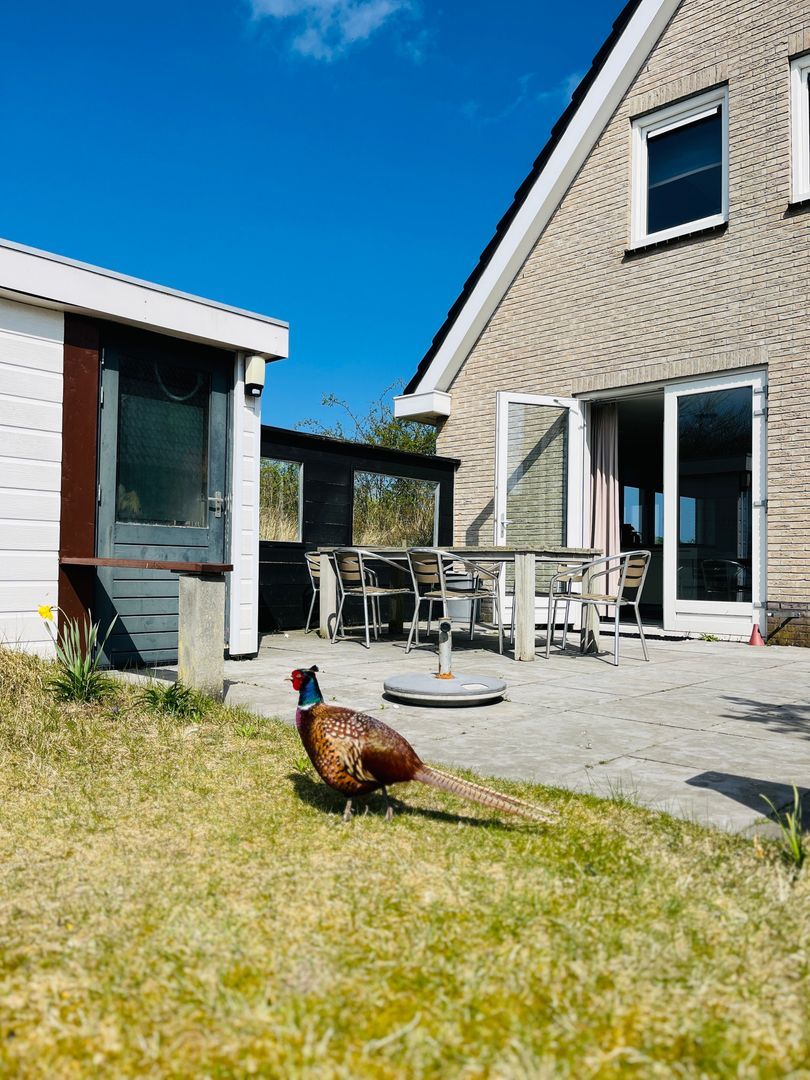 Badweg 111, Schiermonnikoog foto-17