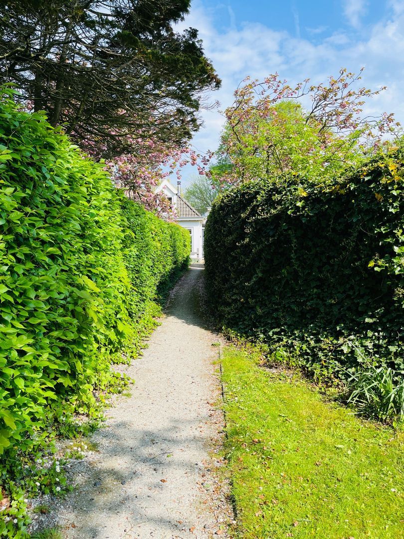 Voorstreek 11, Schiermonnikoog foto-22