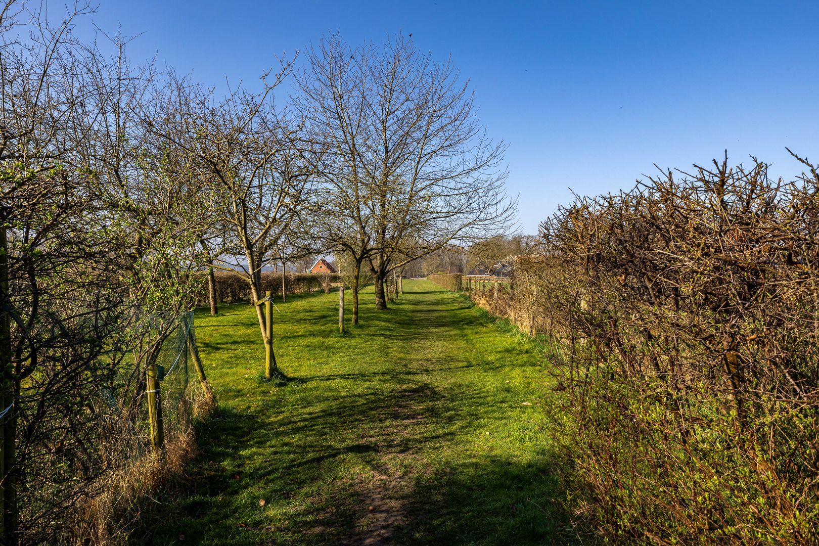 Rijksstraatweg 333, Haren GN foto-5