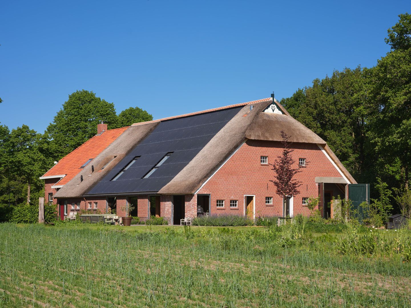 Borgweg 29, Schipborg foto-1