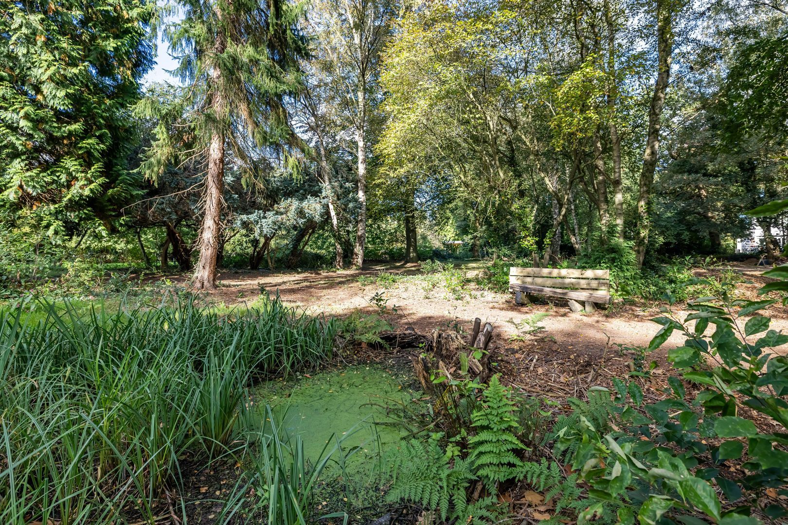 Oude Steeg 3, Glimmen foto-9