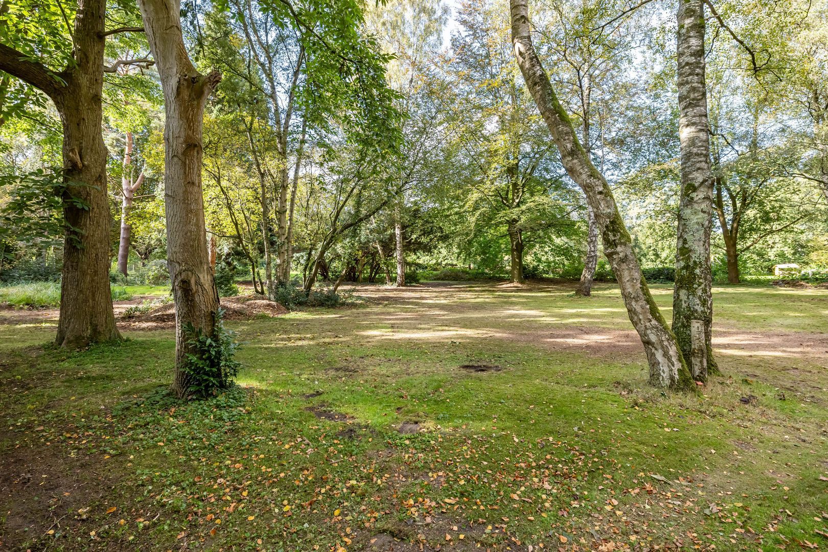 Oude Steeg 3, Glimmen foto-12