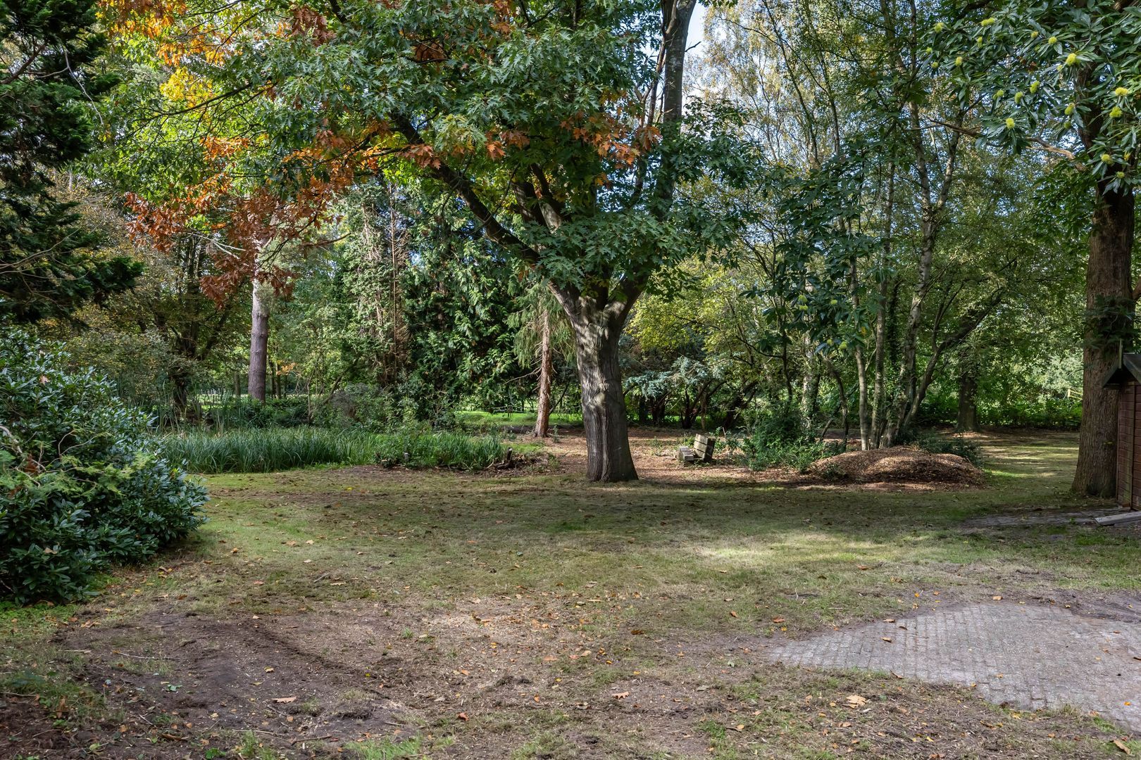 Oude Steeg 3, Glimmen foto-13