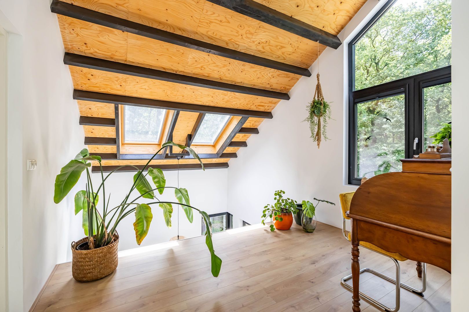 van Mentadalaan 21, Rolde foto-35