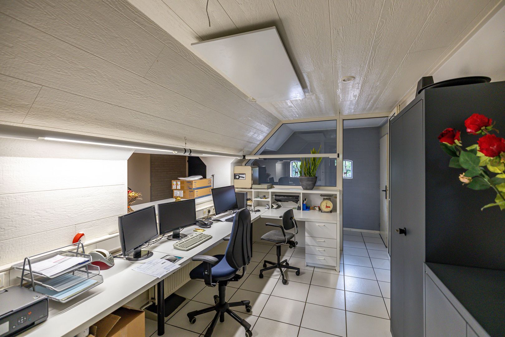 Zuidesch 4, Lieveren foto-57