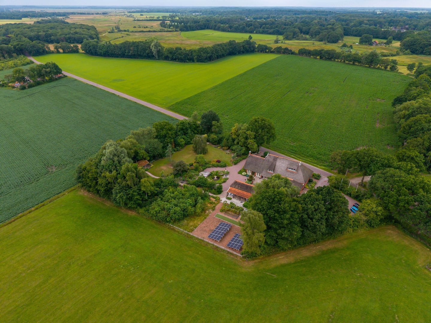 Zuidesch 4, Lieveren foto-66