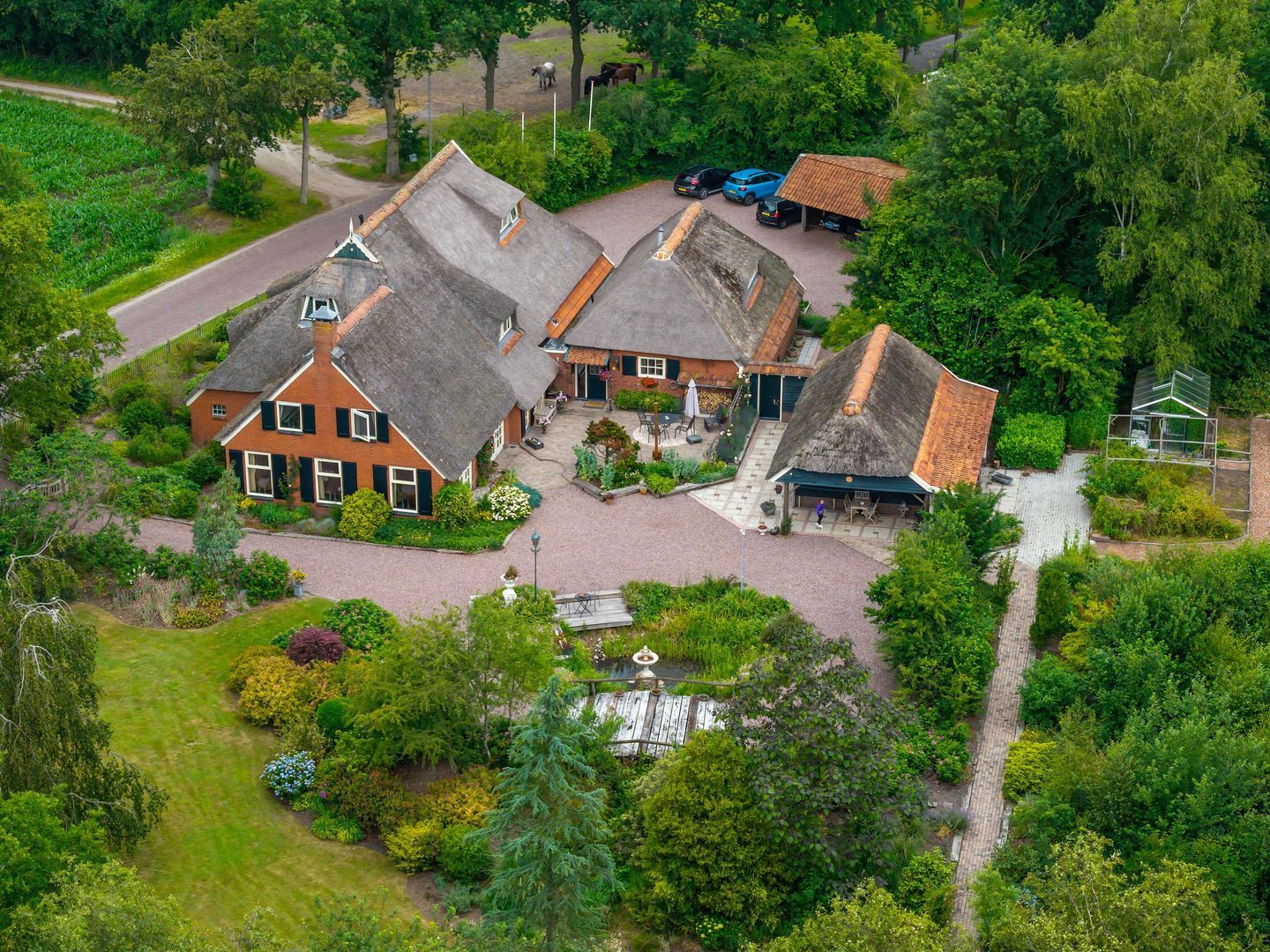 Zuidesch 4, Lieveren foto-0