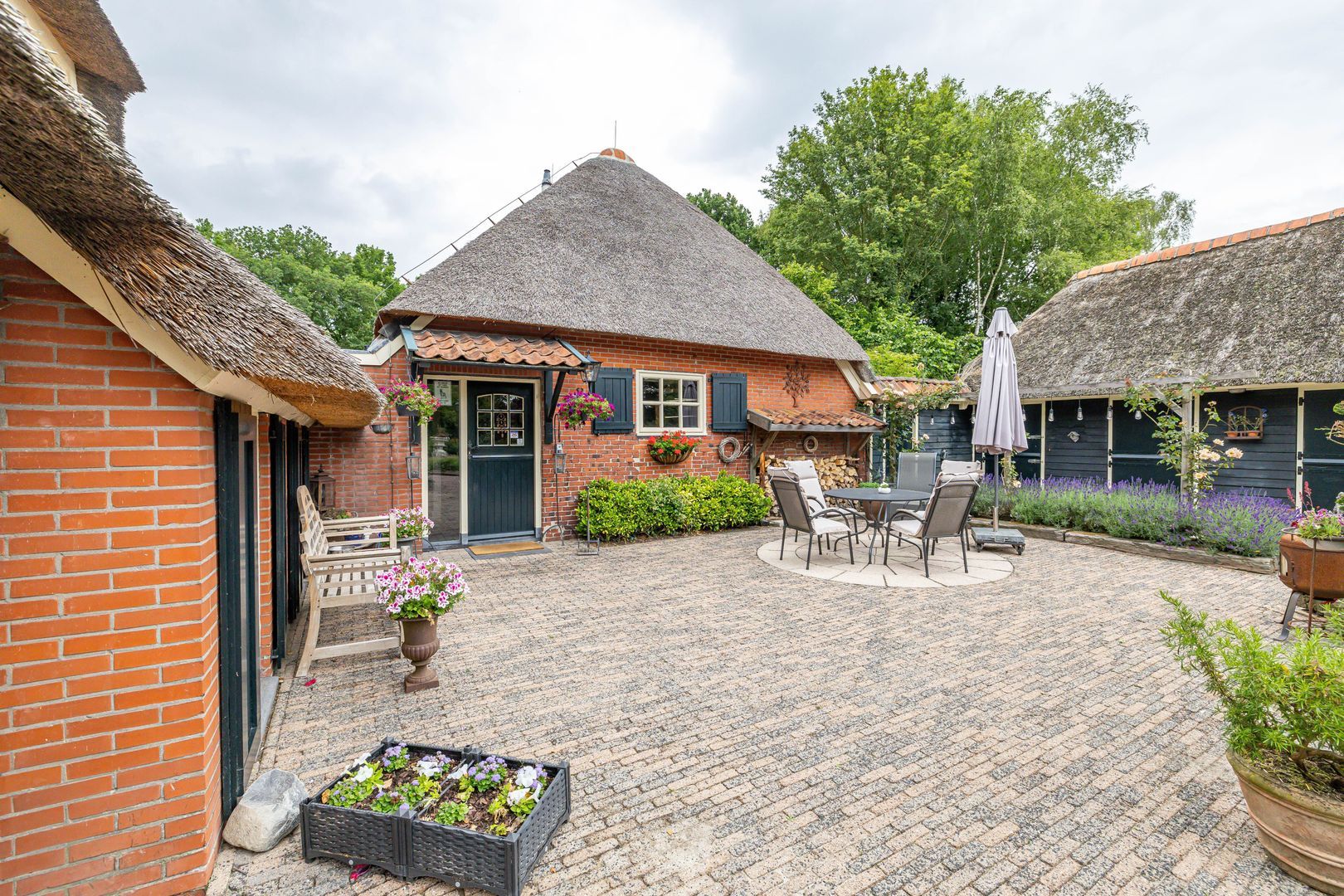 Zuidesch 4, Lieveren foto-33