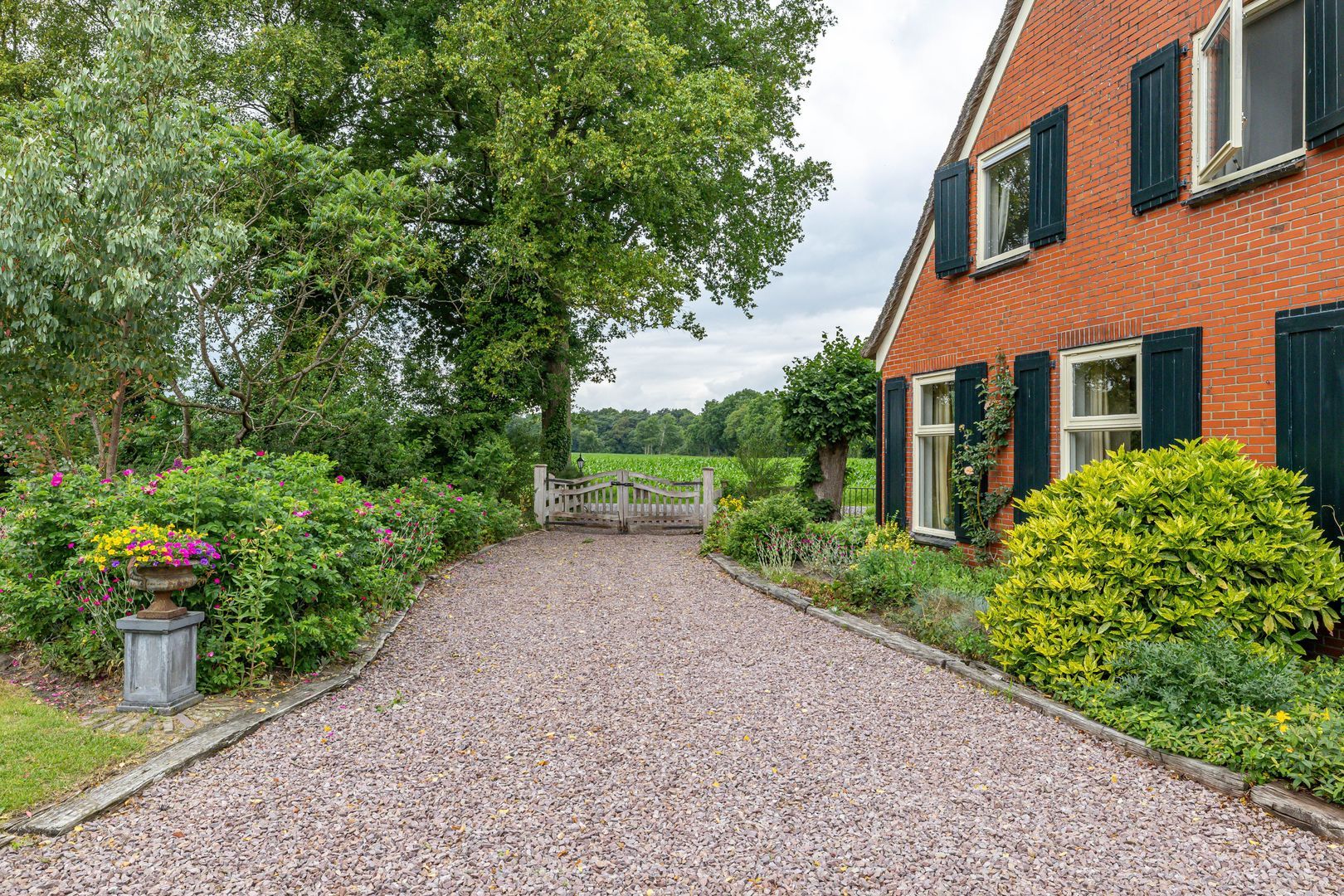 Zuidesch 4, Lieveren foto-3