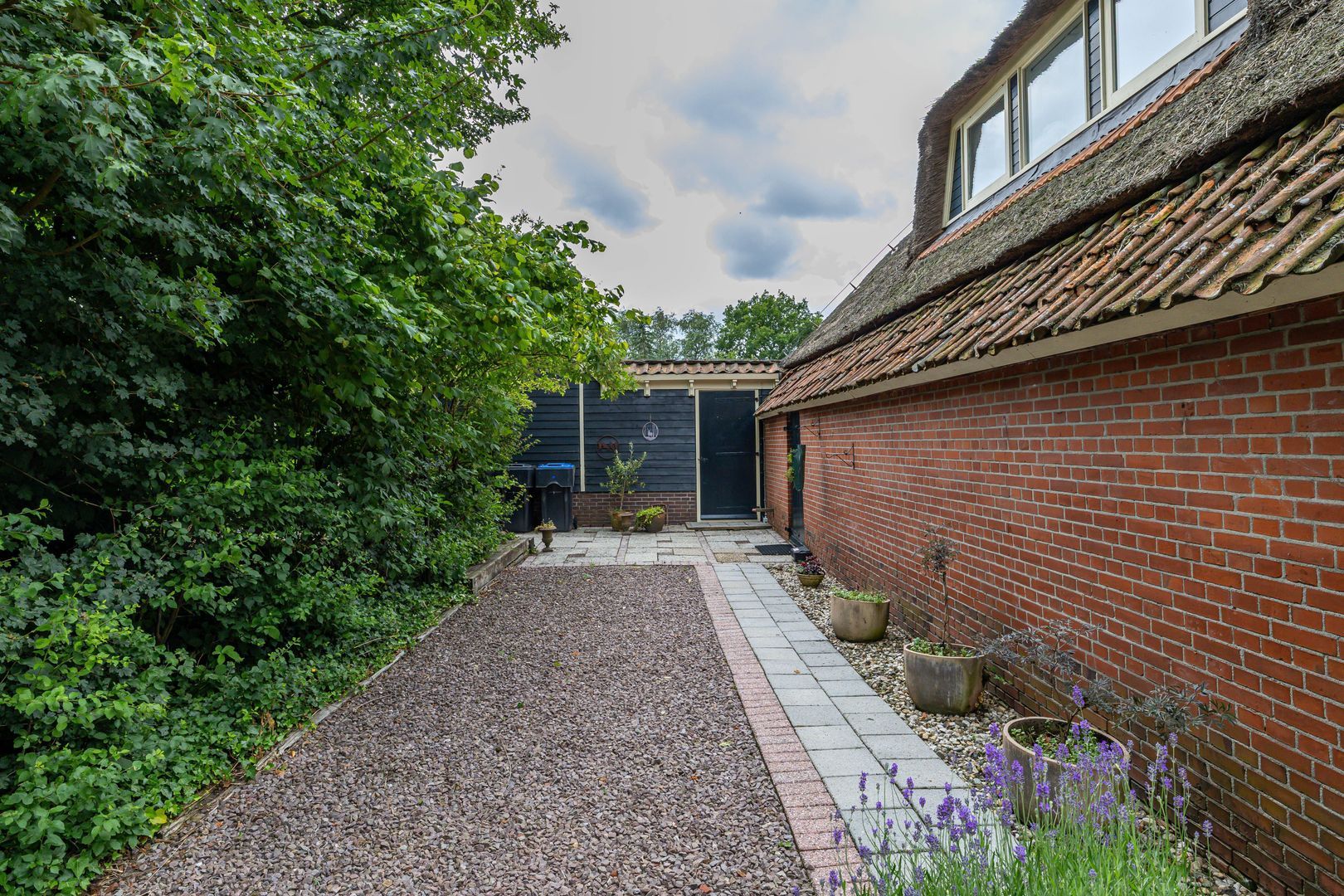 Zuidesch 4, Lieveren foto-28