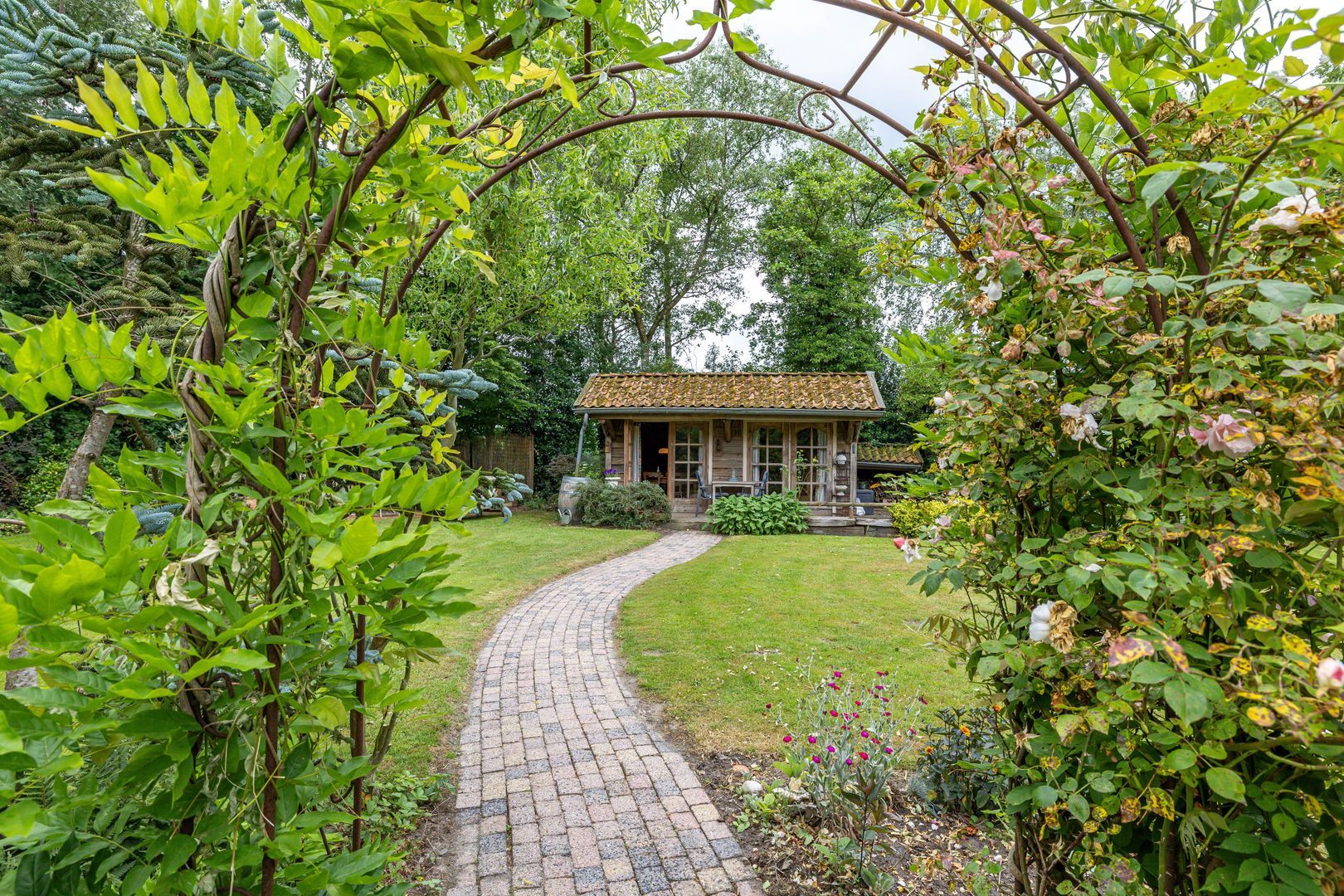 Zuidesch 4, Lieveren foto-43