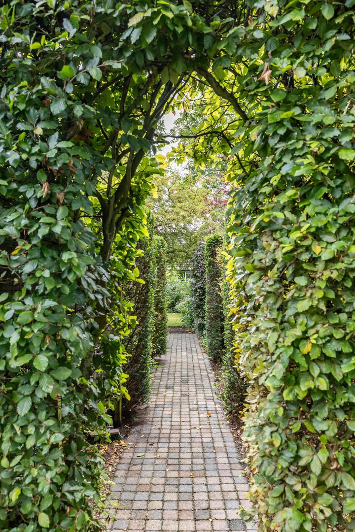 Felix Timmermanslaan 6, Groningen foto-19