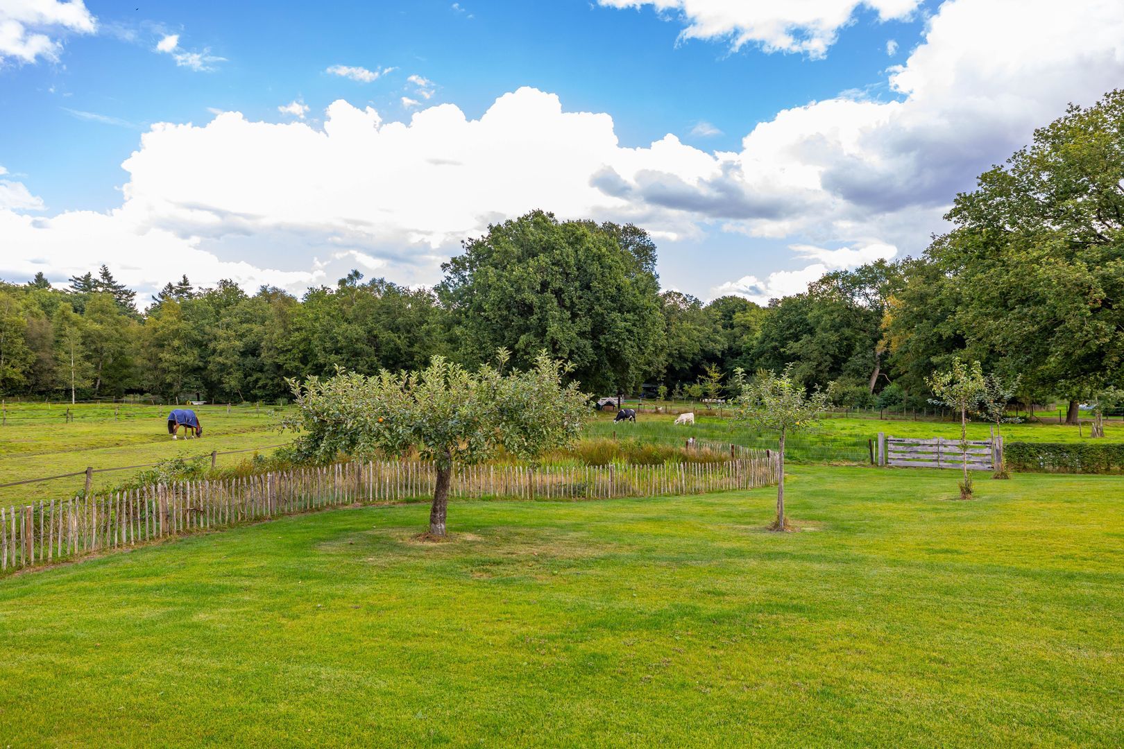 Hoofdweg 11, Zeegse foto-10