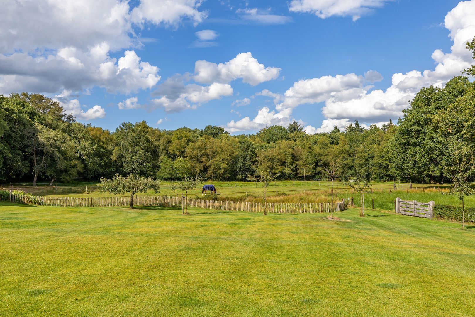 Hoofdweg 11, Zeegse foto-7