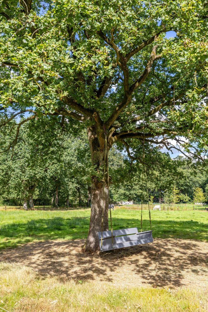 Hoofdweg 11, Zeegse foto-8