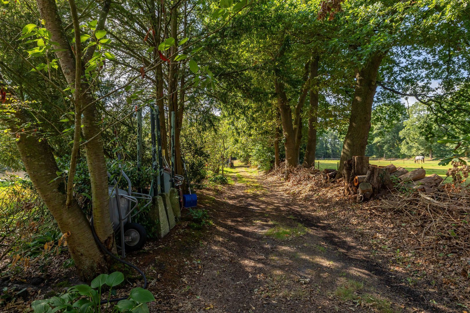 Tynaarlosestraat 68, Vries foto-42