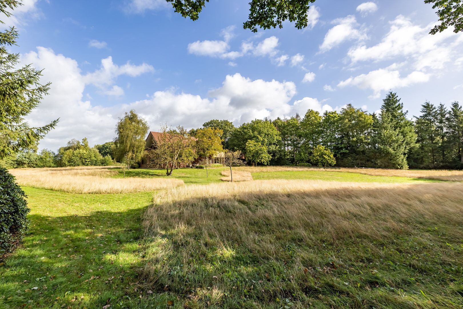 Lheebroek 29, Dwingeloo foto-35