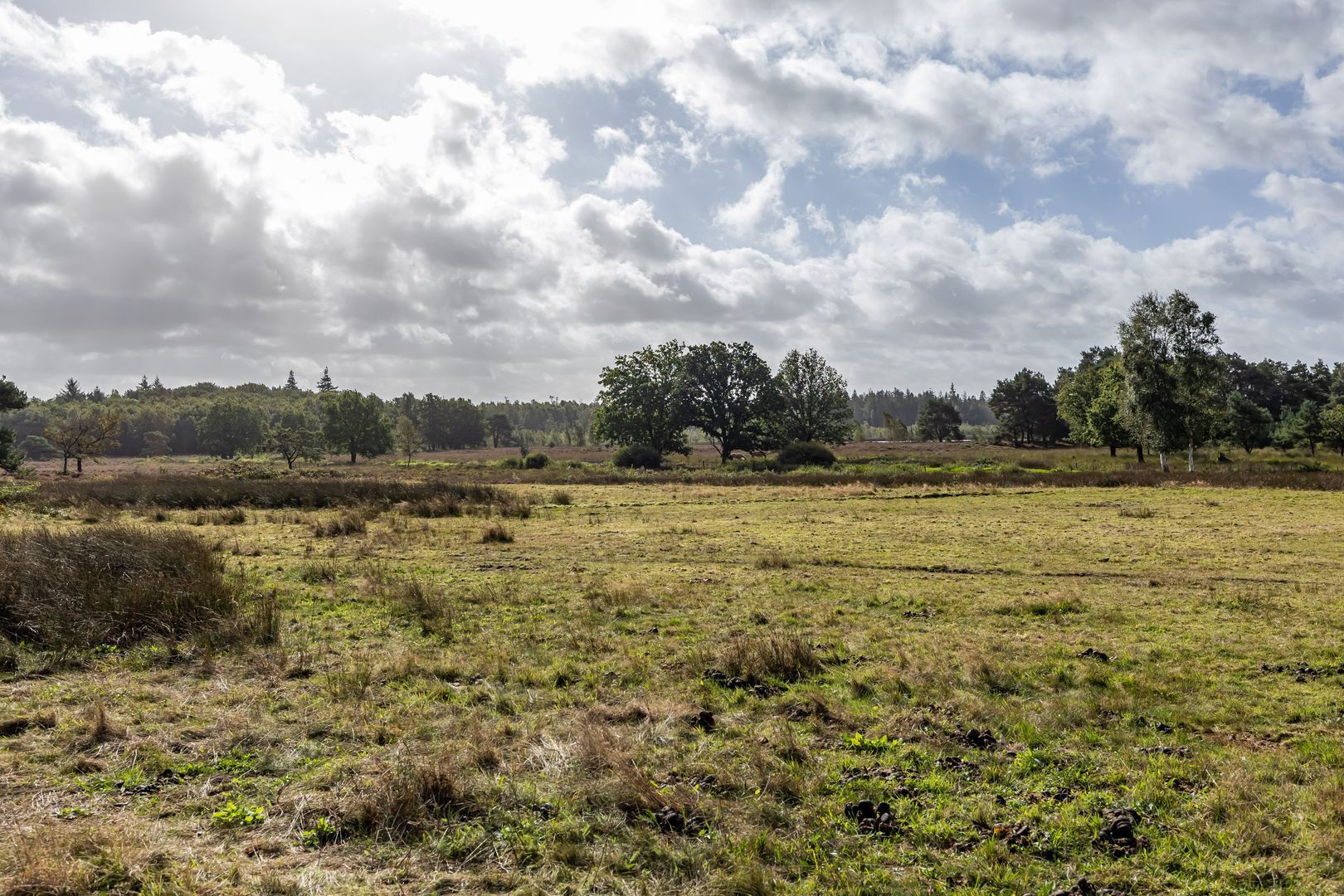 Lheebroek 29, Dwingeloo foto-4