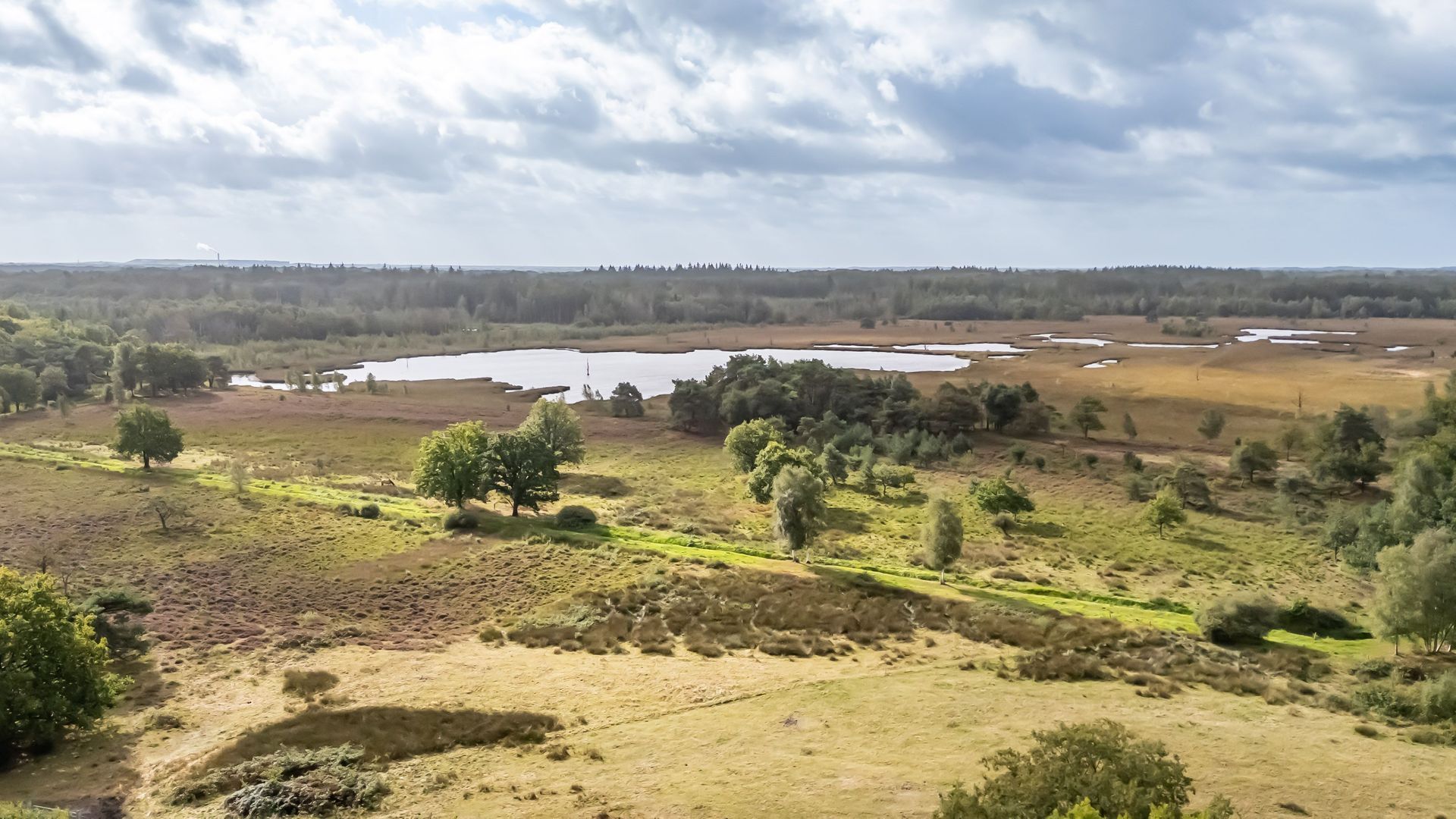 Lheebroek 29, Dwingeloo foto-3