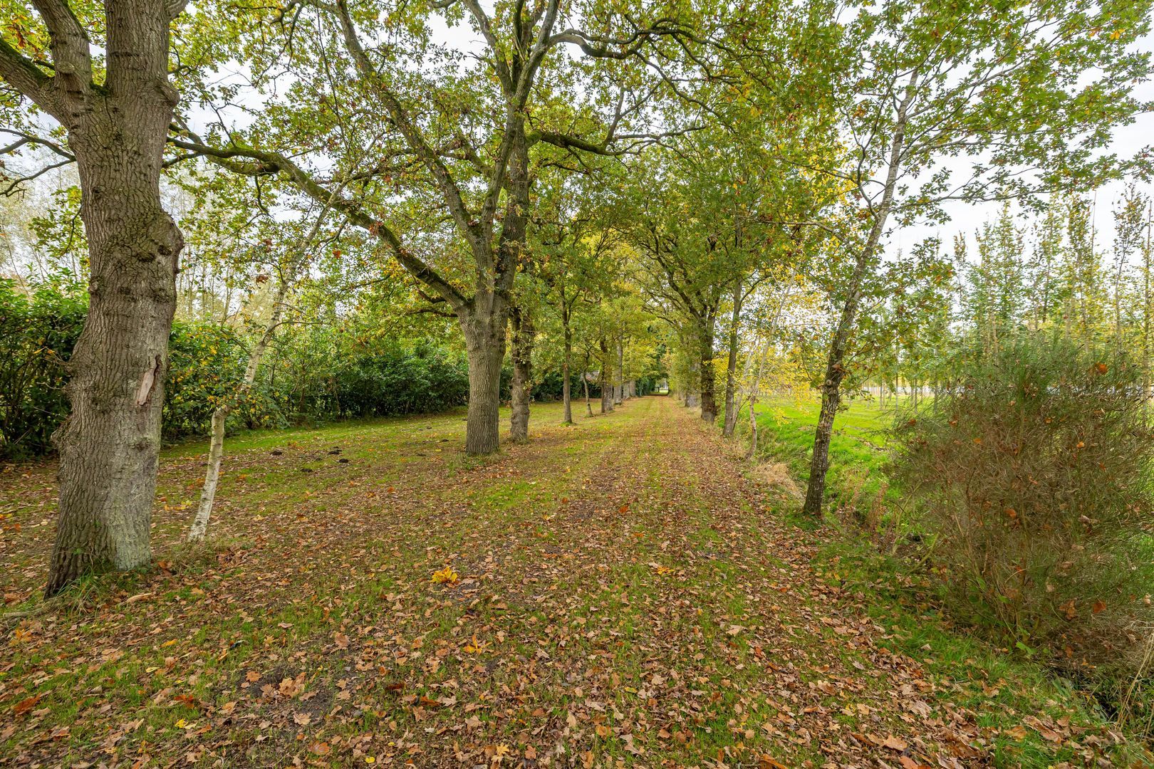Rijksstraatweg 128, Glimmen foto-47