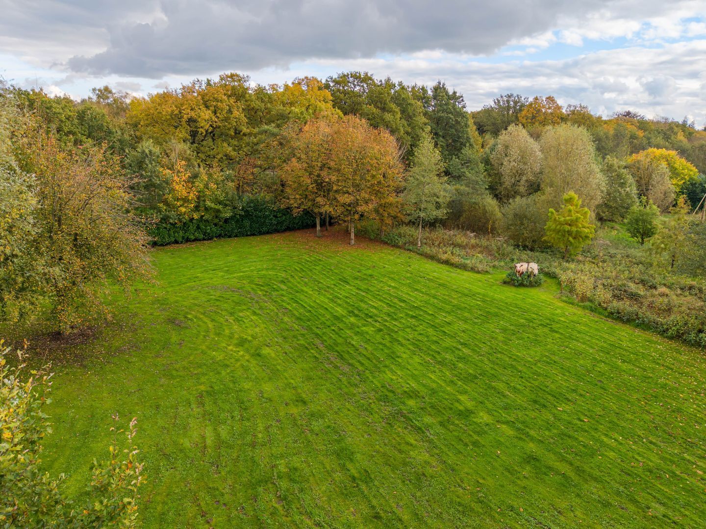 Rijksstraatweg 128, Glimmen foto-44