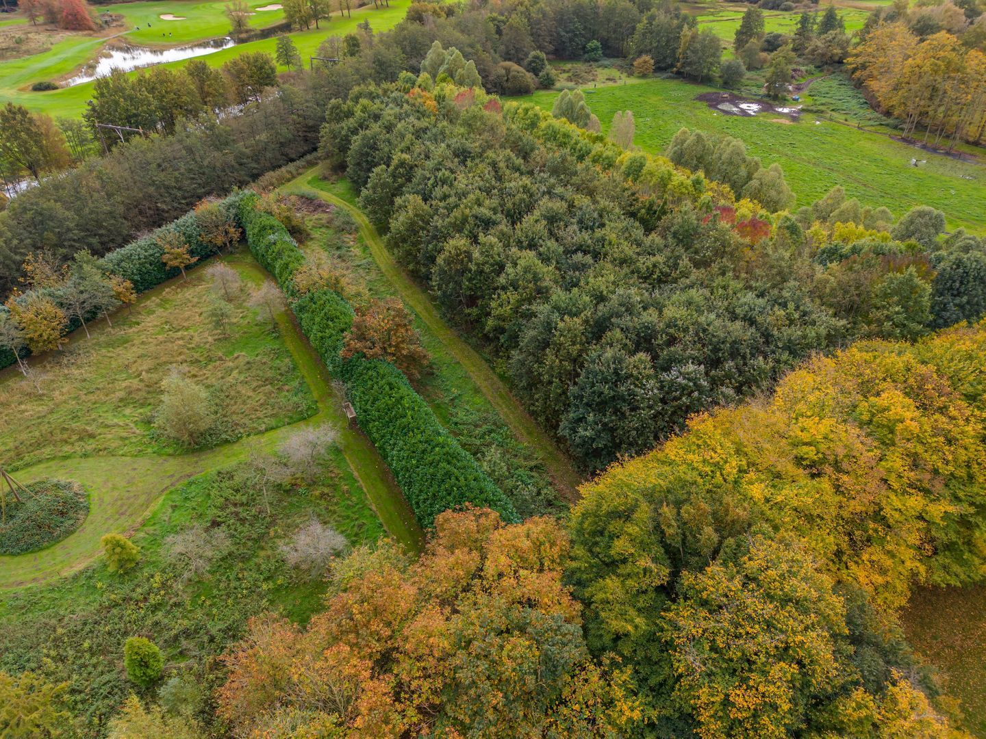 Rijksstraatweg 128, Glimmen foto-49