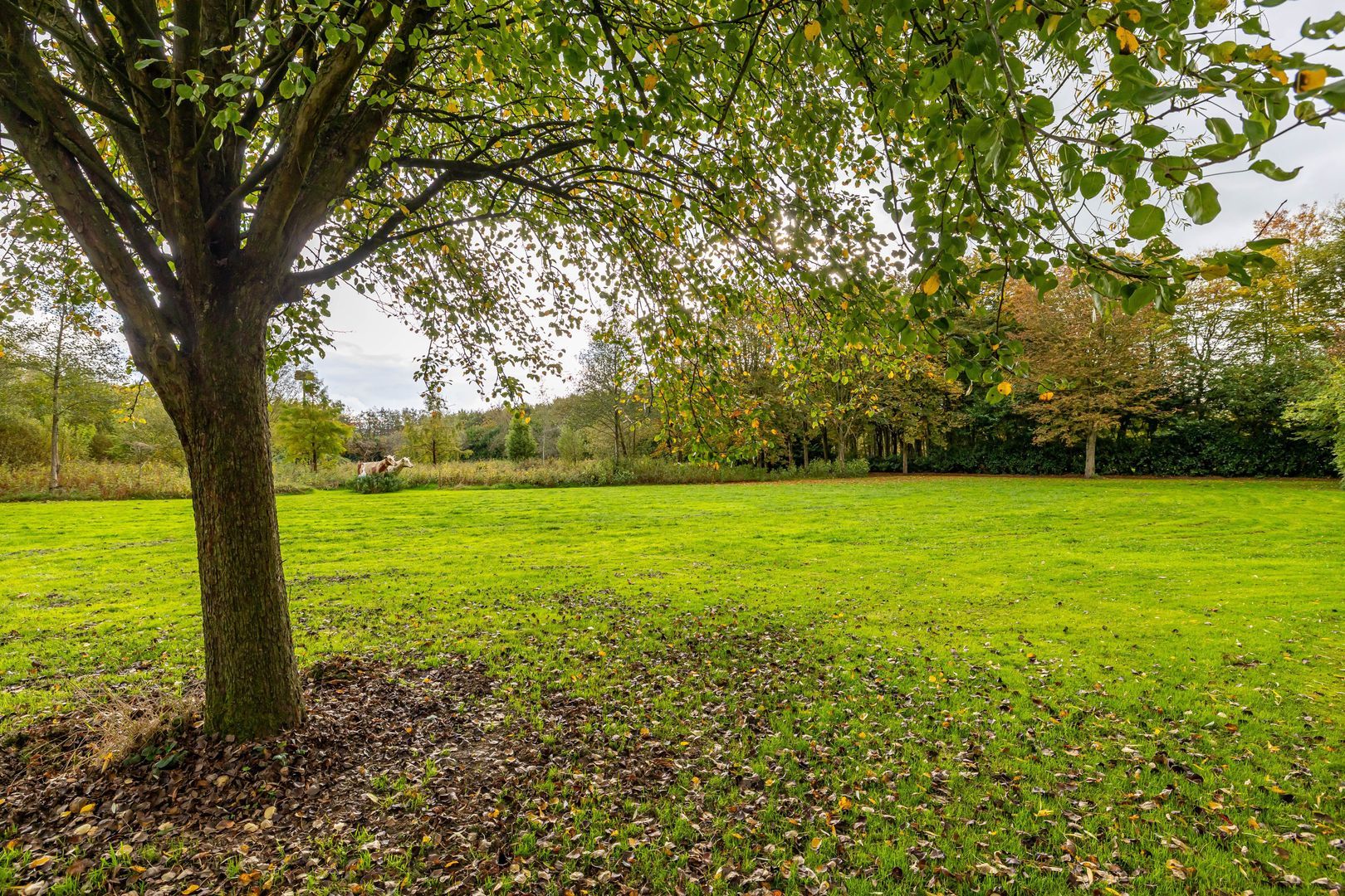 Rijksstraatweg 128, Glimmen foto-25