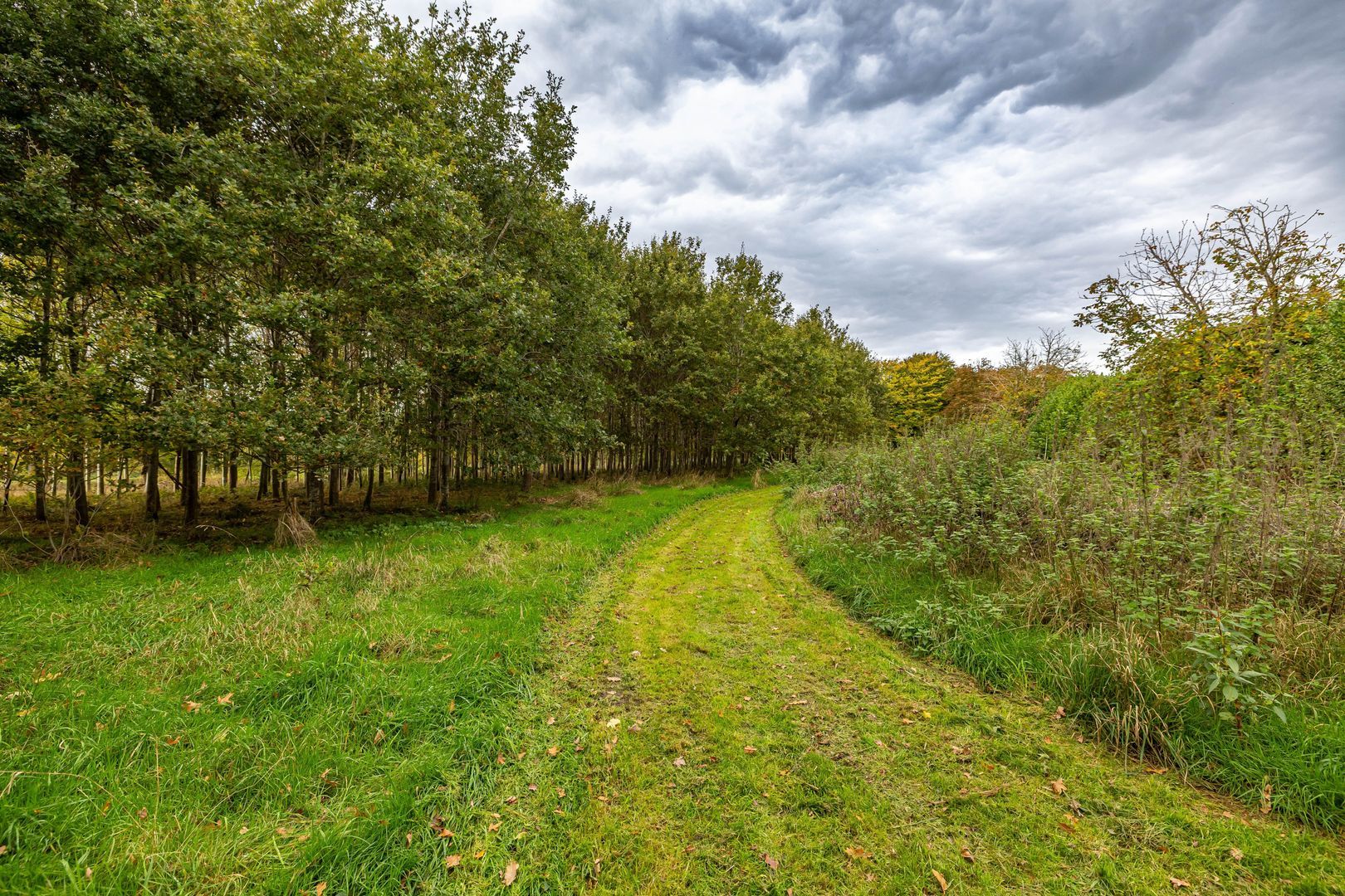 Rijksstraatweg 128, Glimmen foto-48