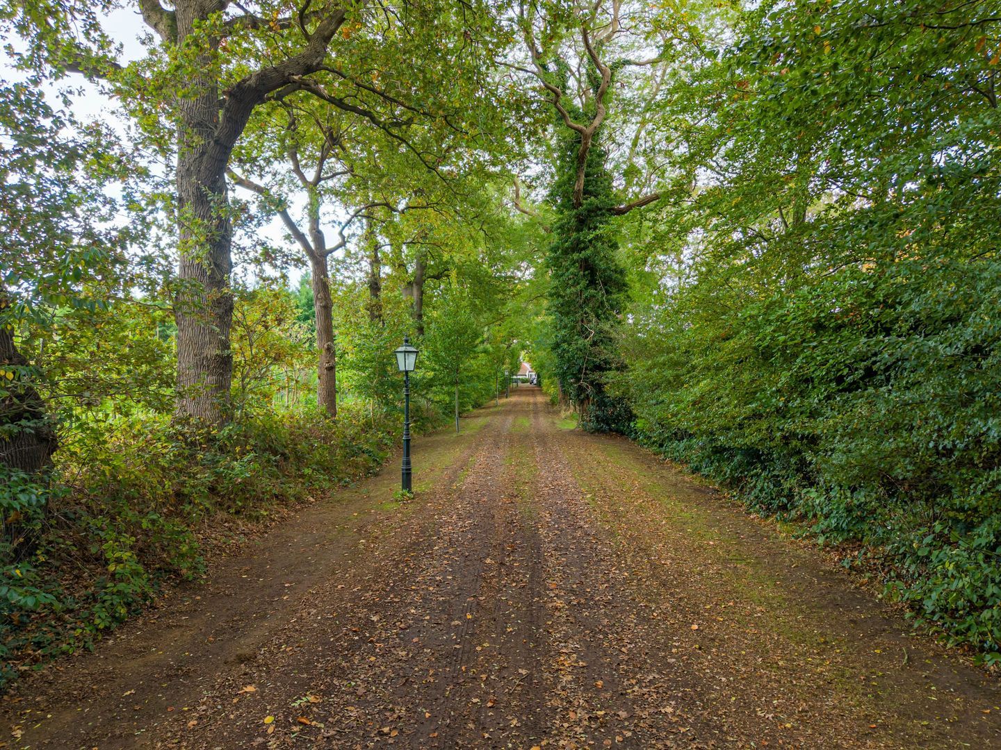 Rijksstraatweg 128, Glimmen foto-4