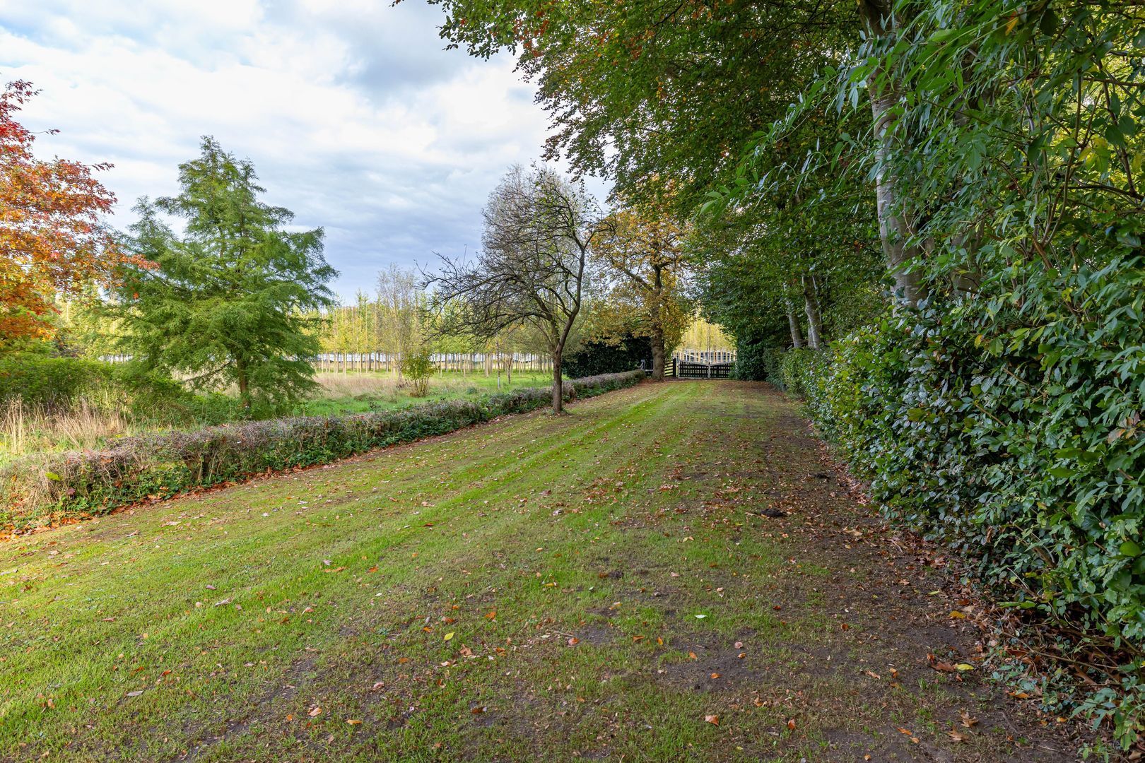 Rijksstraatweg 128, Glimmen foto-46
