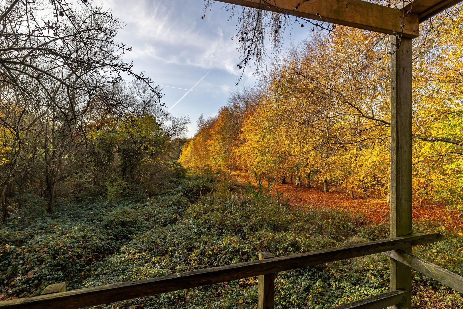 Eikenlaan 62, Kolham foto-61