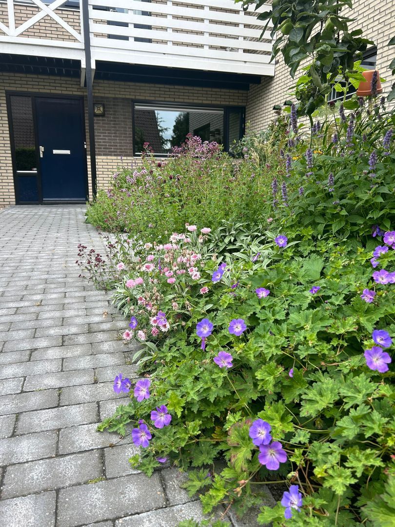 Boerhoorn 6, Glimmen foto-4