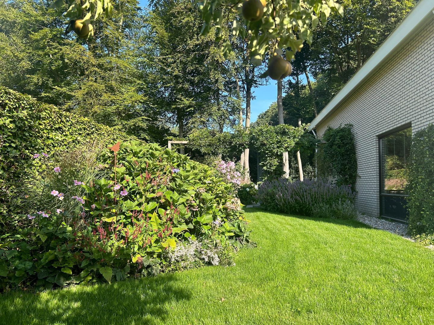 Boerhoorn 6, Glimmen foto-14