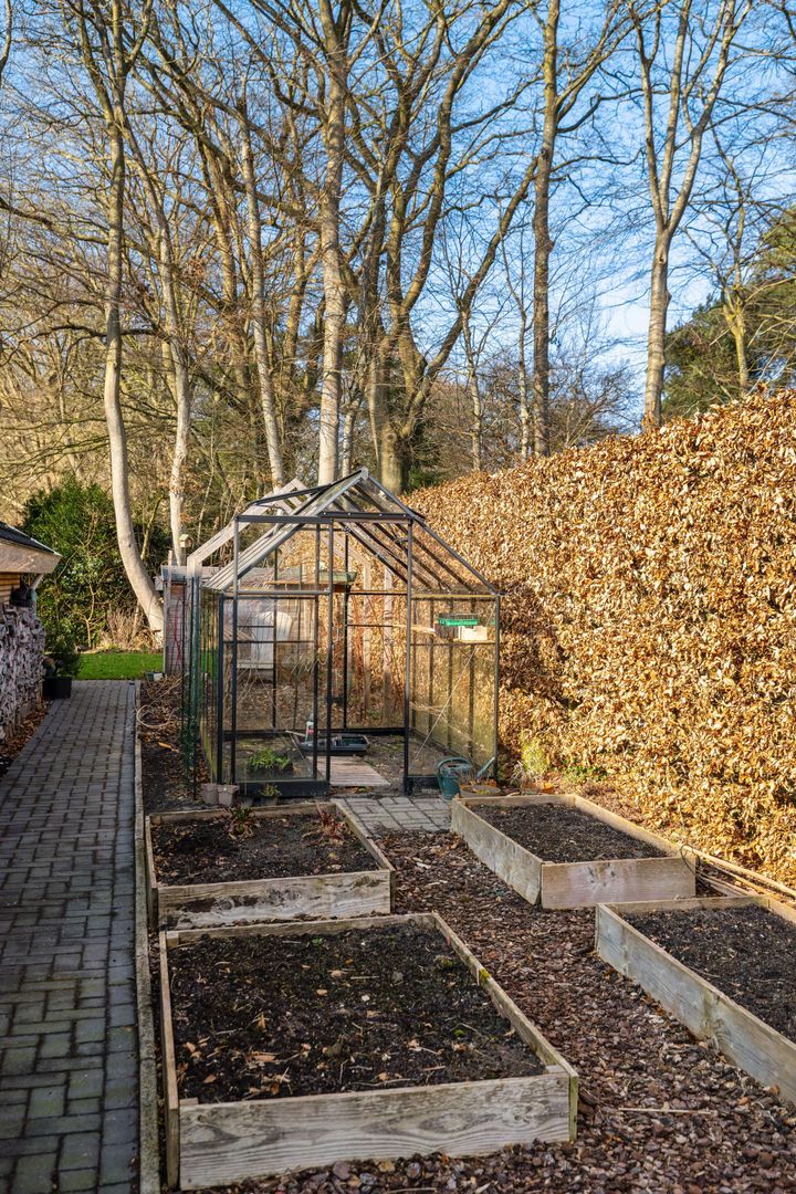 Boerhoorn 6, Glimmen foto-15