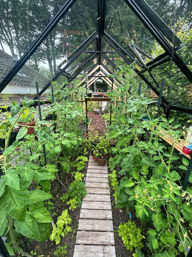 Boerhoorn 6, Glimmen foto-16