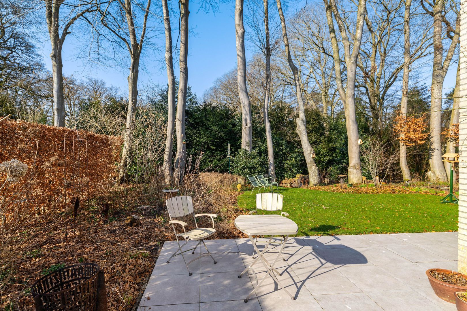 Boerhoorn 6, Glimmen foto-6