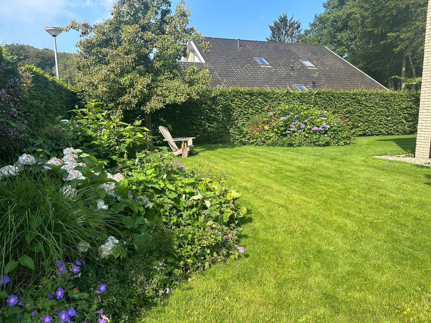 Boerhoorn 6, Glimmen foto-13