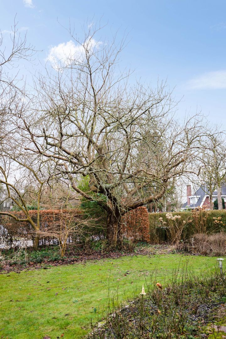 Westerse Drift 40, Haren GN foto-3