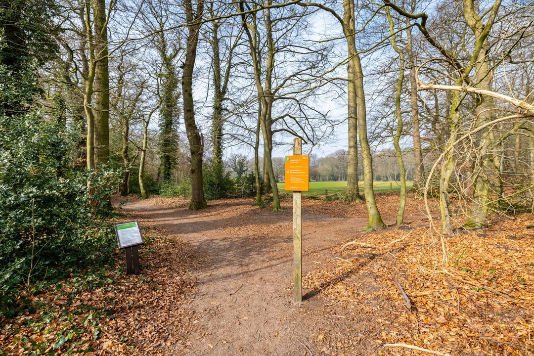 Rijksstraatweg 21, Glimmen foto-3