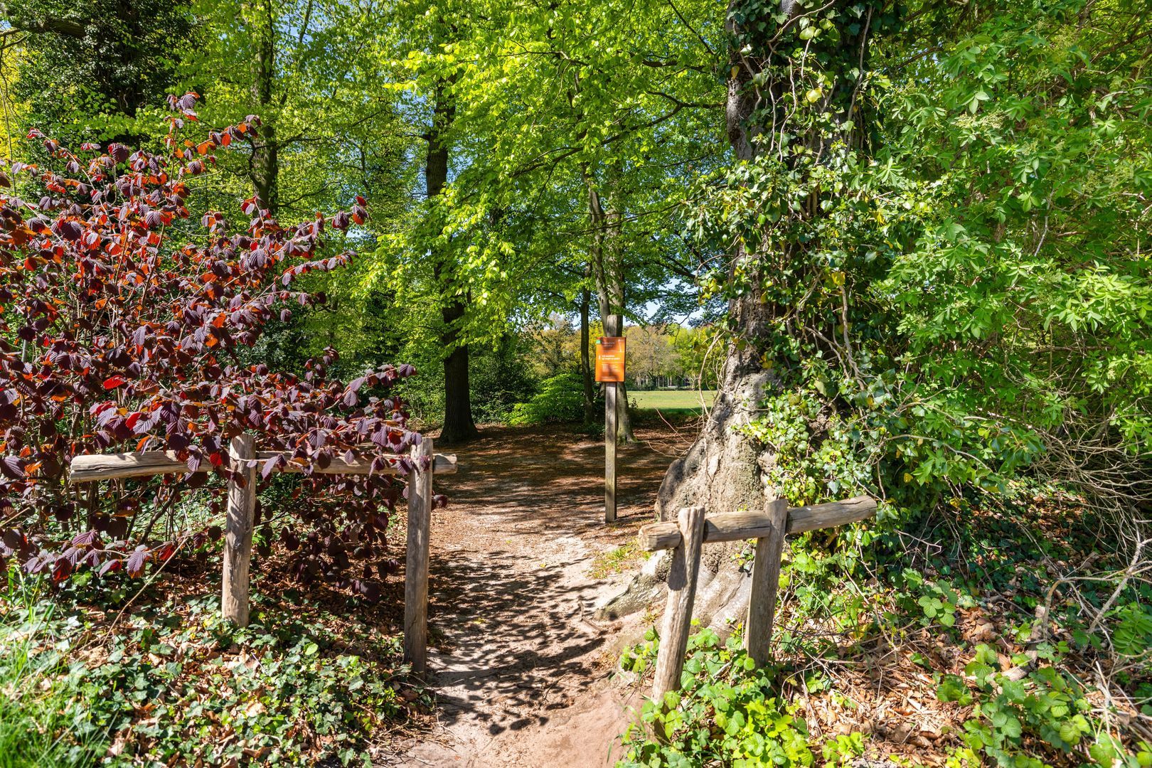 Rijksstraatweg 21, Glimmen foto-14