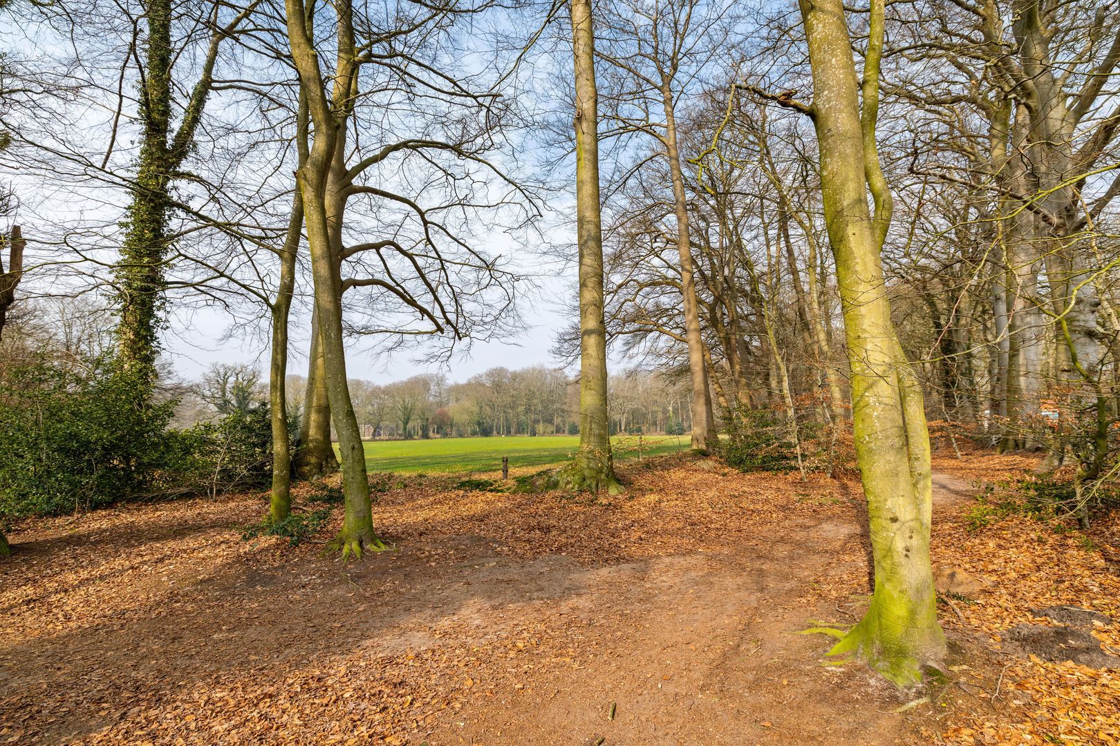 Rijksstraatweg 21, Glimmen foto-37