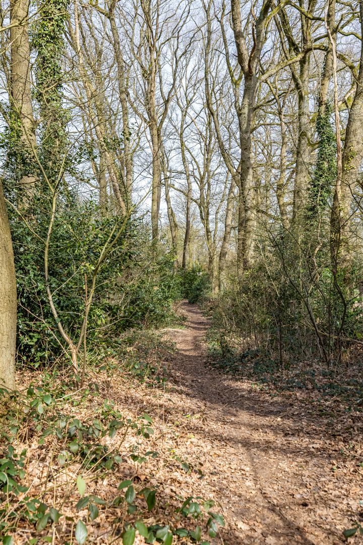 Etstoel 23, Rolde foto-68